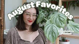  Top Houseplants for August | My Favorite Indoor Plants This Month 