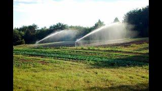 Sprinkler Installation