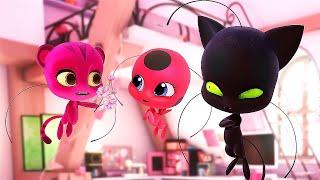 THE WEAKNESSES OF EVERY KWAMI IN MIRACULOUS LADYBUG!!