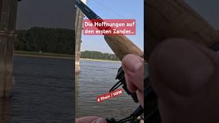 Zanderangeln am Rhein in NRW #angeln #Zander #fishing #spinnfischen #gummifisch #globalhunterchris