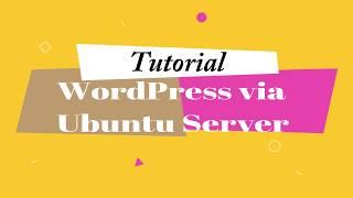 Install Wordpress via Ubuntu Server on VirtualBox #3(Last)