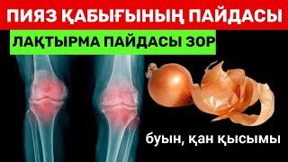 СІЗ БІЛМЕЙ ЛАҚТЫРЫП ЖҮРГЕН ПИЯЗ ҚАБЫҒЫНЫҢ ПАЙДАСЫ | ХАЛЫҚ ЕМІ