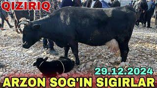 QIZIRIQ JAXON BOZORI SOG'IN SIGIRLAR G'UNAJINLAR NARXLARI 29.12.2024