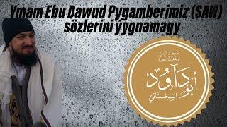 Jelalkary Ymam Ebu Dawud Pygamberimiz ﷺ sözlerini ýygnamagy