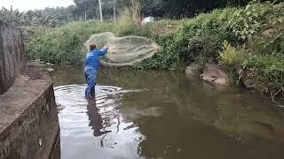 Menjaring Ikan Di Sungai-Sungai Kecil. Bolehlah Untuk Lauk Satu Malam.