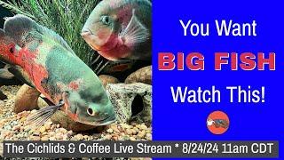 What *BIG FISH* Keepers DON'T TALK ABOUT!