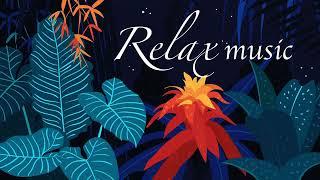 RELAX MUSIC FOR MEDITATION | YTV CHANNEL