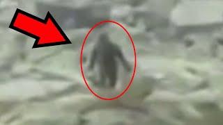 10 of the Most Compelling Bigfoot Videos Ever Recorded