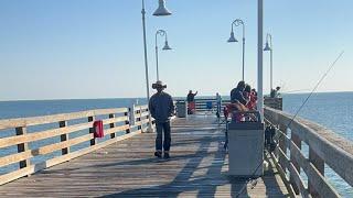 𝐀𝐝𝐯𝐞𝐧𝐭𝐮𝐫𝐞𝐬 𝐰𝐢𝐭 𝐈 𝐏𝐚𝐭𝐭𝐚 is live! Pier fishing