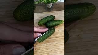 Хрустящие вкусные огурчики #shorts #shortvideo #рецепт