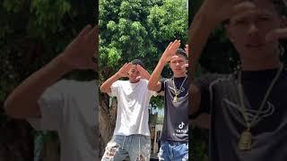 tiktok dos famosos
