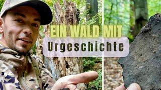 Zurück am EISZEITSEE wo alles begann ! Eine Suche im Wald mit Urgeschichtlichen Spuren.