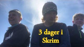 Skrim (3 days)