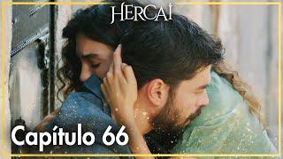 Hercai - Capítulo 66