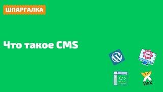 Что такое CMS и как ее выбрать