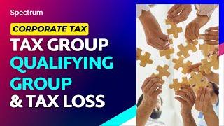 Corporate Tax - Tax Group, Qualifying Group & Tax Loss | Spectrum Auditing