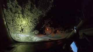 Pre Dawn Drive in Rausu to Catch Shiretoko Birdwatching Cruise