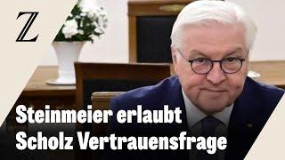 Bundespräsident Steinmeier stimmt Zeitplan für Neuwahl zu