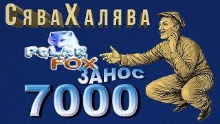 занос в polar fox  бонус