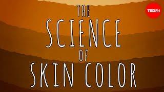 The science of skin color - Angela Koine Flynn