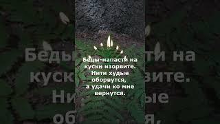 Заговор на удачу. Привлечение процветания в жизнь. Молитва на удачу и деньги#shorts