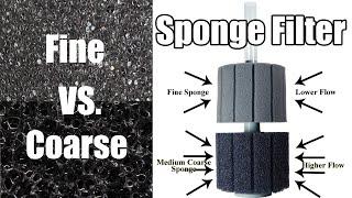 Sponge Filter Review- Coarse vs Fine Sponge Filter