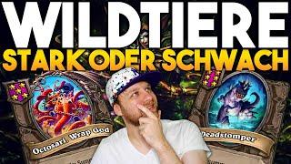 Peak Wildtiere gewinnen alles oder etwar doch nicht? Hearthstone Schlachtfeld