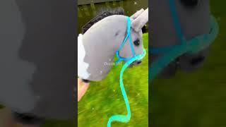 Day in my life w/ the hobbyhorses!! (mainly js riding) ️🩵 #hobbyhorse