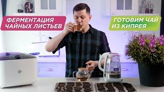 Как ферментировать иван чай в домашних условиях? | Кипрей узколистный