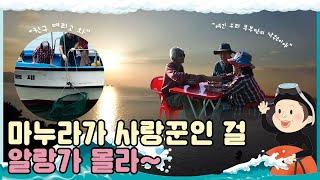 [섬마을 할매 시즌 1 ] 초도편 I 오지에 생긴 욕심없는 어부 부부만의 낙원