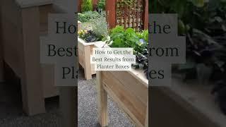5 Easy Tips for Gardening in Planter Boxes 