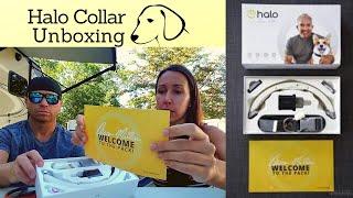 Halo Dog Collar Unboxing and Set-up- Am I Doing This Right?!?