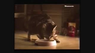 Whiskas (2005, UK)