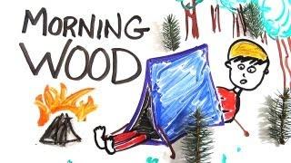 The Science of 'Morning Wood'