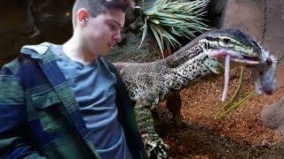 BIG INSANE LIZARD GOES NUTS ON REPTILE ZOO VISITOR!!  | BRIAN BARCZYK