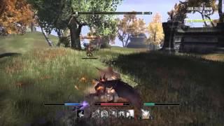 ESO PvP 1vX "Not a machine"