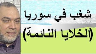 تحالف مجوسي أمريكي إسرائيلي مع الخلايا النائمة ضد الثورة