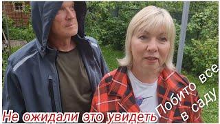 Бросили дачу надолго.Слезы от увиденного.Град побил все( ТОМАТЫ УЖЕ СПЕЮТ.ПЕРЕЦ УДИВИЛ