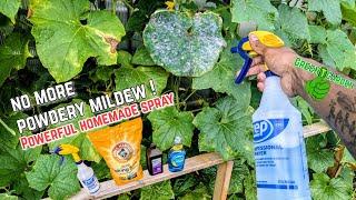 Get Rid of Powdery Mildew FAST With homemade spray #gardening #greentgarden #amazing