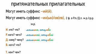 Склонение притяжательных прилагательных (6 класс, видеоурок-презентация)