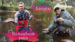 Бонусы Волшебной реки часть 1 (Хариус и форель)