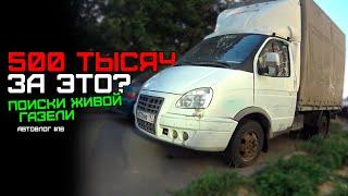 ГАЗЕЛЬ ЗА 500 ТЫСЯЧ! МЫ СОШЛИ С УМА? / Подбор ГАЗели до 500 тысяч / АвтоВлог #16