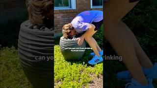 GOLDEN RETRIEVER HUSBAND  #love #wedding  #tiktok #relationship #reels #couple #shorts #tiktok