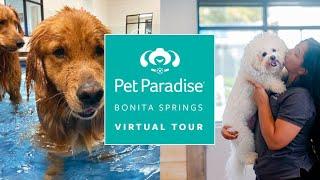 Pet Paradise Bonita Springs | Virtual Tour | Opening March 18!