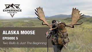 HUNT Episode 5 — Two Bulls Is Just The Beginning (Alaska Moose Hunt) — The Experience Project