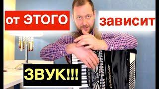 БЕСПЛАТНЫЙ видео урок Аккордеона - Как играть на Аккордеоне правильно с Нуля -  школа Аккордеона