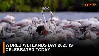 World Wetlands Day 2025 is celebrated today | DD India