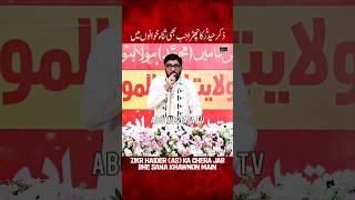 Zikr Haider (as) Ka || Mir Hasan Mir