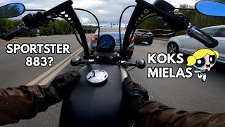 HARLEY DAVIDSON SPORTSTER 883 IRON 2016 / motociklo test ride #17 / AMERICA BABY! :D