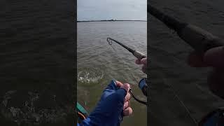 Did I Just Catch the Biggest Snook Ever?